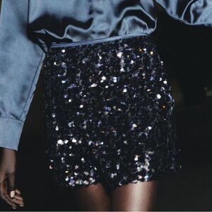 BNWT ZARA SEQUIN SKIRT